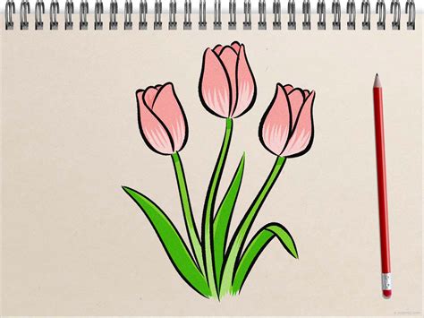 drawing pulubi|How To Draw a Tulip Easy Step.